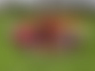 Kindergarten - May 2023