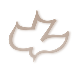 logPng-1_edited_edited_edited.png