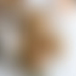 STÖKKAR GRÆNMETIS TOSTADAS