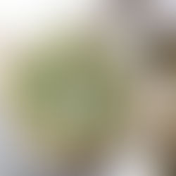 PIZZA MEÐ AVÓKADÓ OG ALFREDO SÓSU