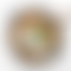 RISOTTO MEÐ TÓMÖTUM & BURRATA OSTI