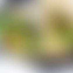 BUTTERNUT SQUASH TACO