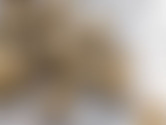 LITLAR OSTAFYLLTAR BRAUÐBOLLUR