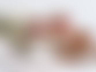 EFTIRRÉTTIR Í GLÖSUM