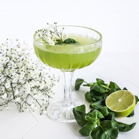 BASIL GIMLET