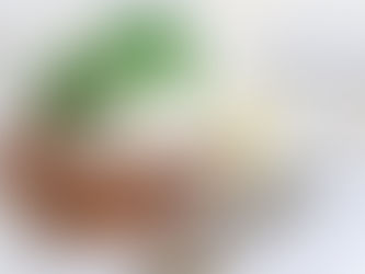 TAGLIATELLE BOLOGNESE MEÐ BURRATA