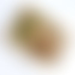 EINFALDIR KJÚKLINGALEGGIR