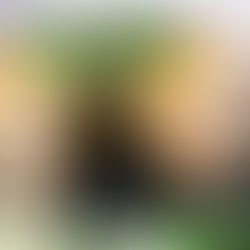 TORTILLU KAKA MEÐ GRASKERI