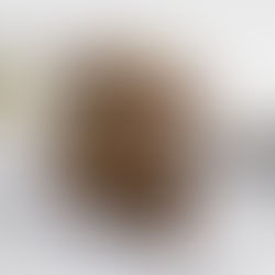 HOLLT DÖÐLUNAMMI „VIRAL DATE BARK“