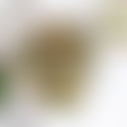 KJÚKLINGA-& GRÆNMETIS GRILLSPJÓT