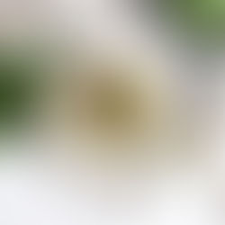 TACOS MEÐ MADRAS KJÚKLINGI