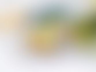 RÆKJUSALAT MEÐ RISARÆKJUM