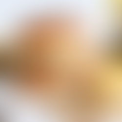 BORGARI MEÐ RIFNUM BBQ KJÚKLING 