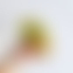 DJÚSÍ & LJÚFFENGAR TÍGRISRÆKJULOKUR