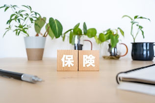 健康保険以外で取り扱える保険