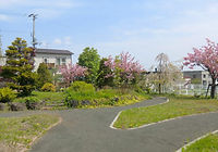 病院の外の日本庭園