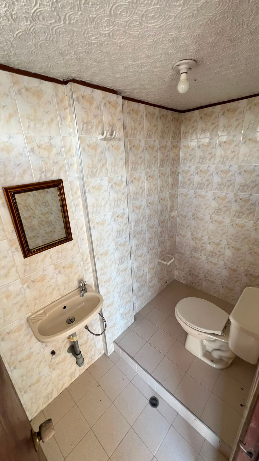 WhatsApp Image 2026-07-28 at 9.04.02 AM.jpeg