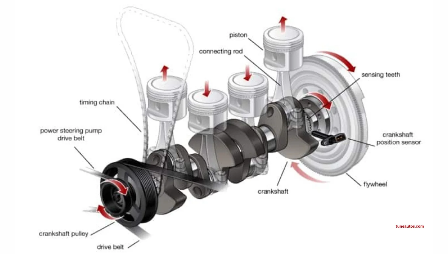 crankshaft position sensor diagram