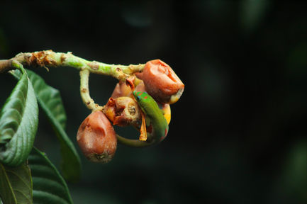 D7219A1C-561D-44B3-8E7C-C788C04B8DFD