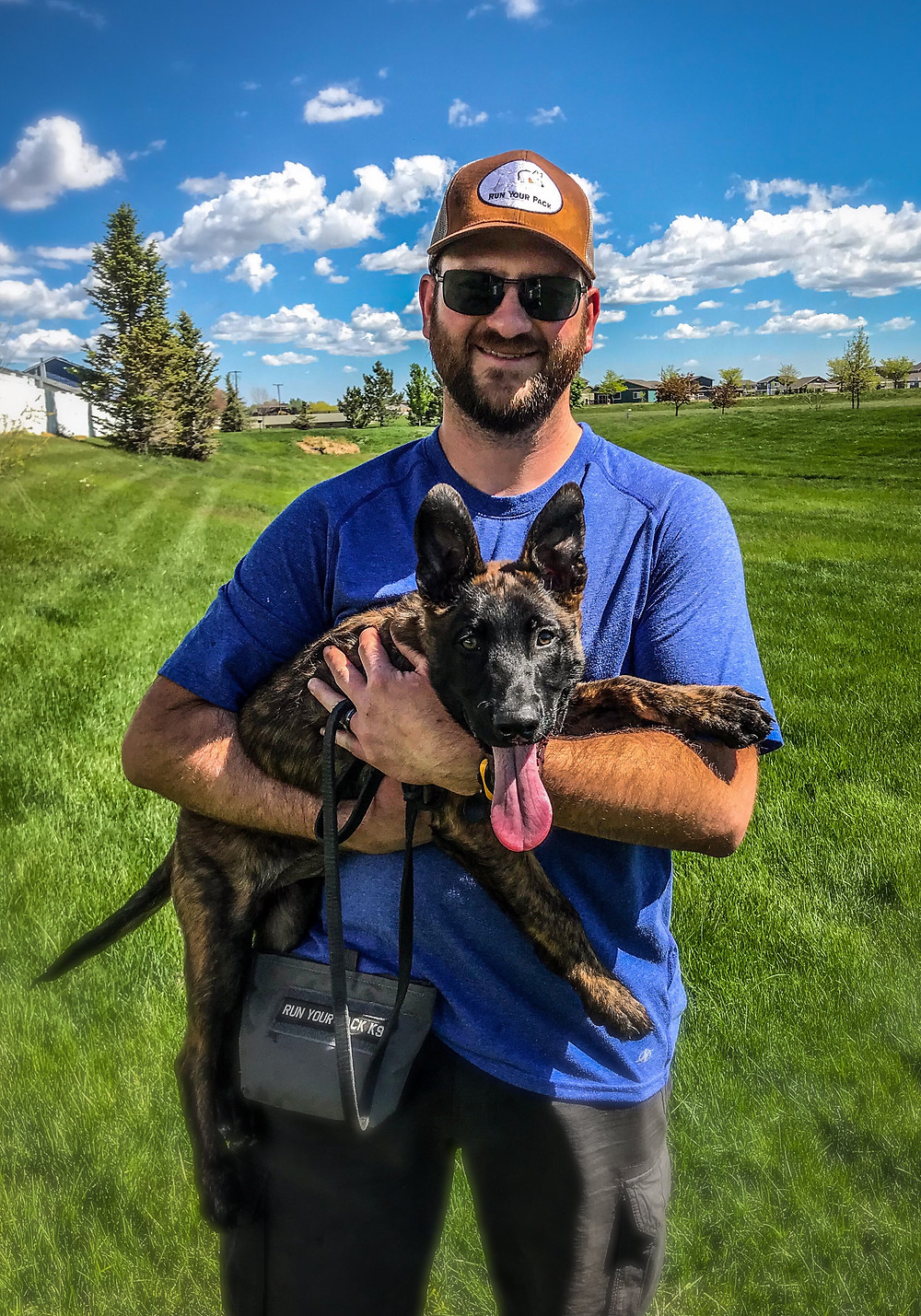 Tracking dog, blood tracking dog, dutch shepherd