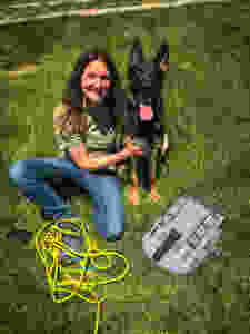 tracking dog, german shepherd