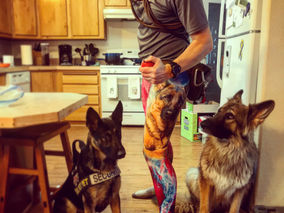 Work Your Dog : But don't take yourself too seriously...