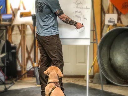 Puppy Imprinting Engagement