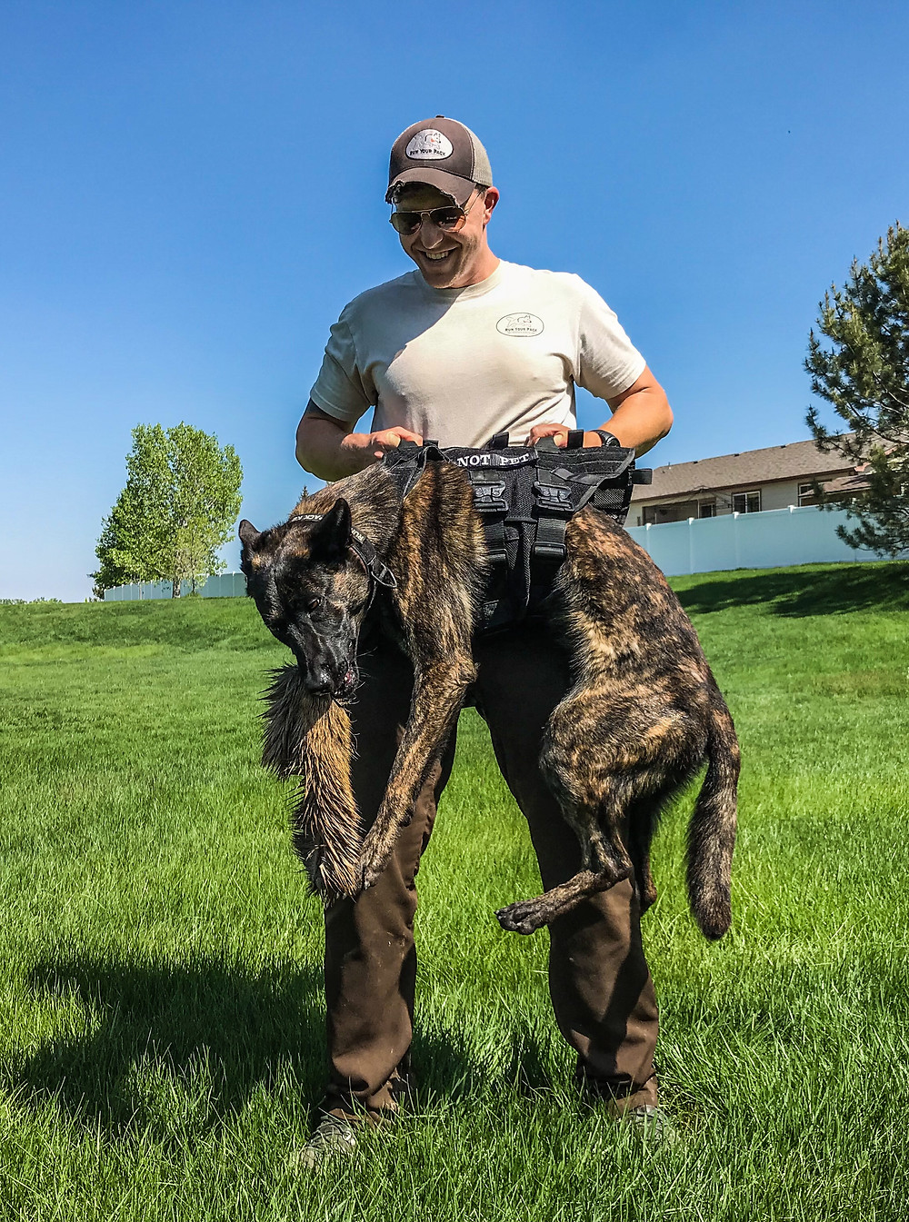 Tracking dog, blood tracking dog, dutch shepherd