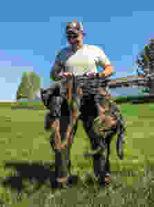 Tracking dog, blood tracking dog, dutch shepherd