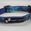 Thumbnail: Blue Galaxy collars & lead 25mm