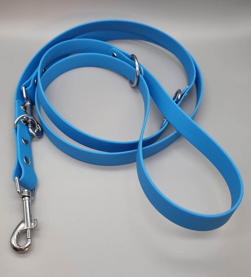 Thumbnail: Biothane double ended training lead
