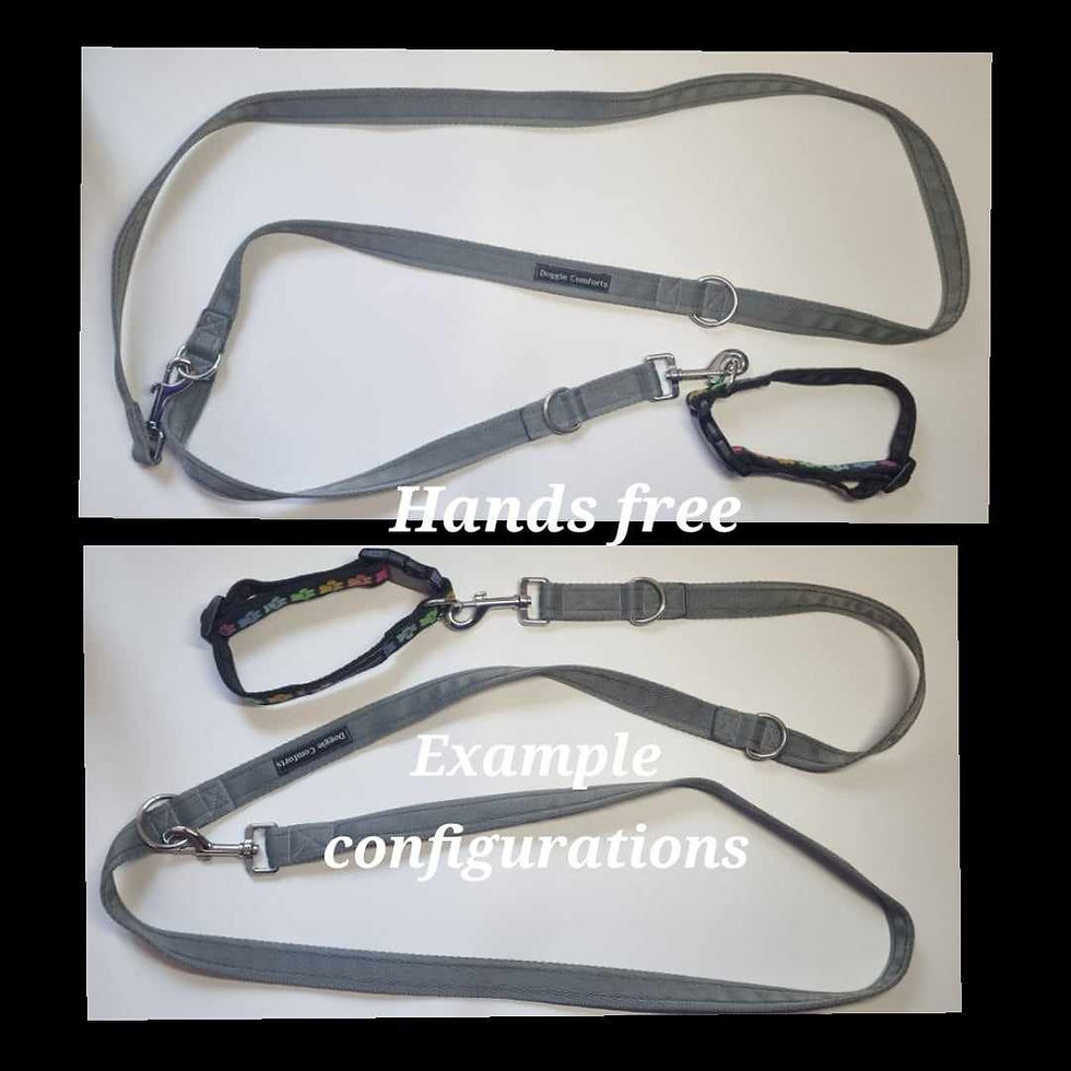 Thumbnail: Training Lead