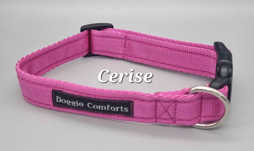 Thumbnail: Plain dog collars 20mm