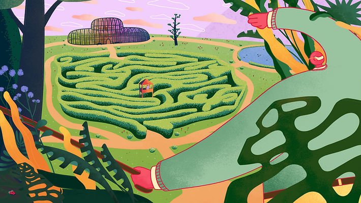 MAZE.png