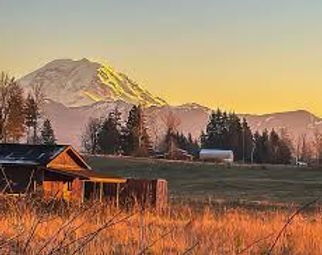 "The Claw" - Enumclaw Washington