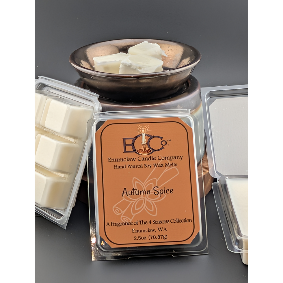 Thumbnail: The 4 Seasons Fragrance Wax Melts