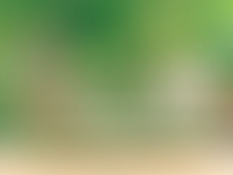 How To Get 100% Financing For An Investment Property