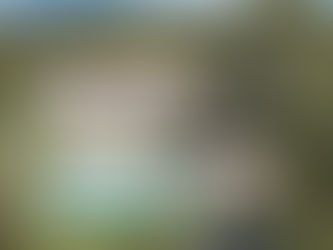 Where Should I Buy Investment Property