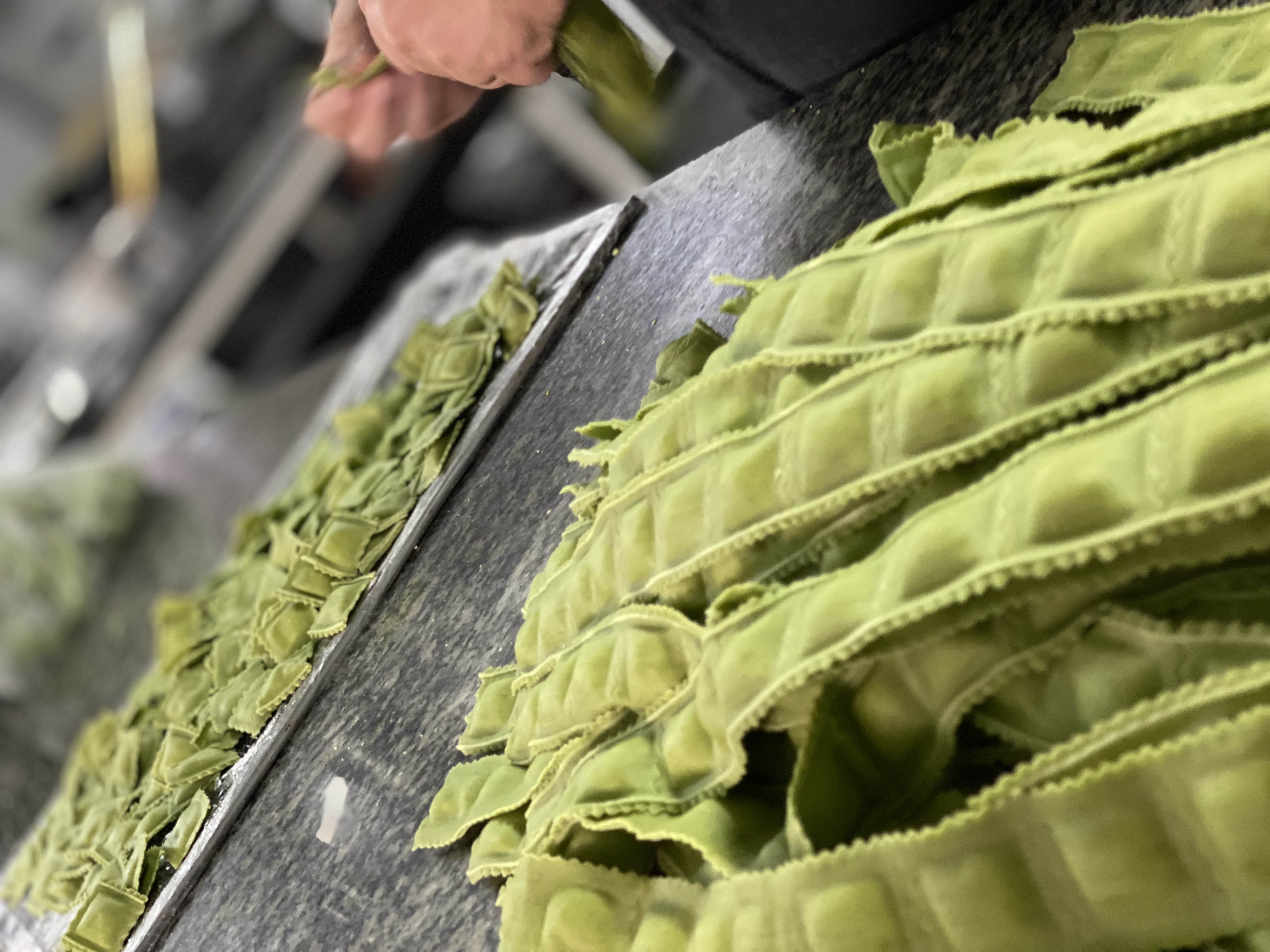 Ravioli de Mussarela de Búfala Verde