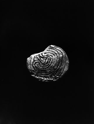 258A2741b2000px.jpg