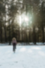 Winterwoods 2024