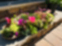 IMG_1675.jpeg