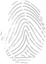 fingerprint%2520(DNA)_edited_edited.png