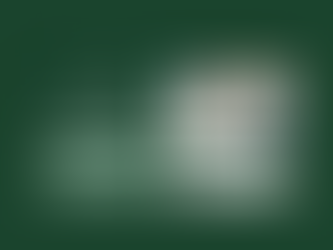 Kings Park, Ferndown Veterans Lunch