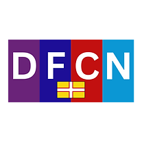 DFCNet Trans.png