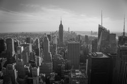 Empire State BW-16