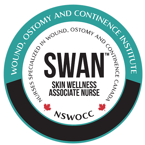 WOC Institute Program Logos_SWAN.png