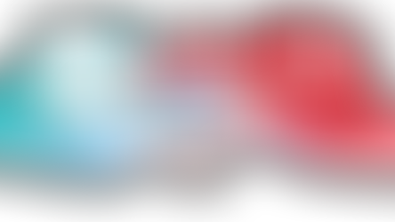 Live Translation at Congress with Wordly AI