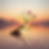 tree_Image_.png