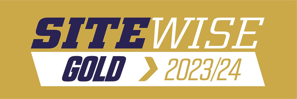 SiteWise-Gold.jpg